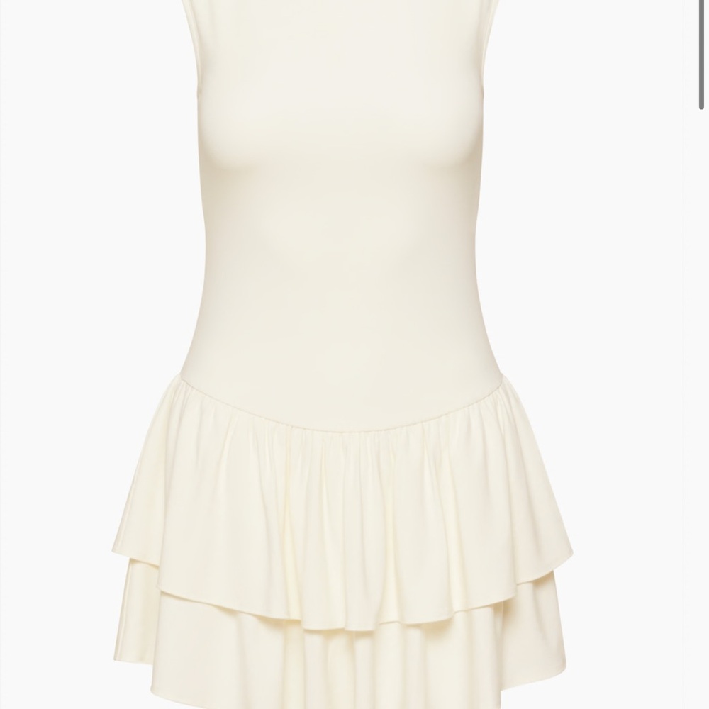 Aritzia Mini Dress